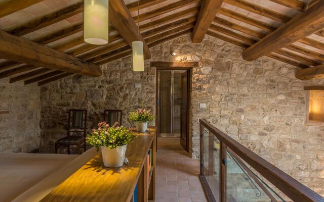 Santa Illuminata 20 12