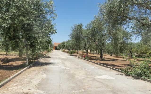 Welcomely - Domo Galante