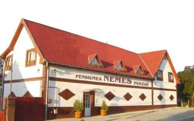 Pensiunea Nemes Panzio