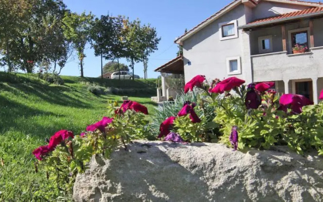 Apartment Vojskovic 101