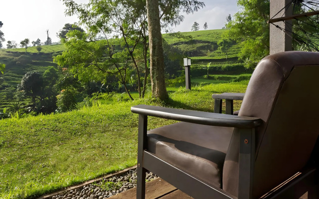 Tea Garden Resort