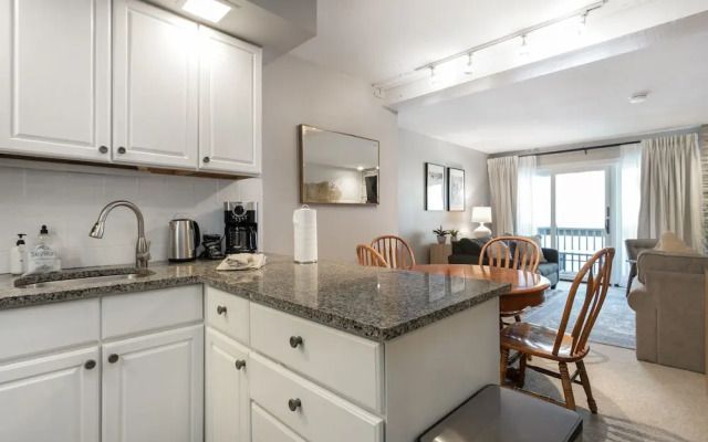 Snowlion Condos 208 2 Bedroom Condo