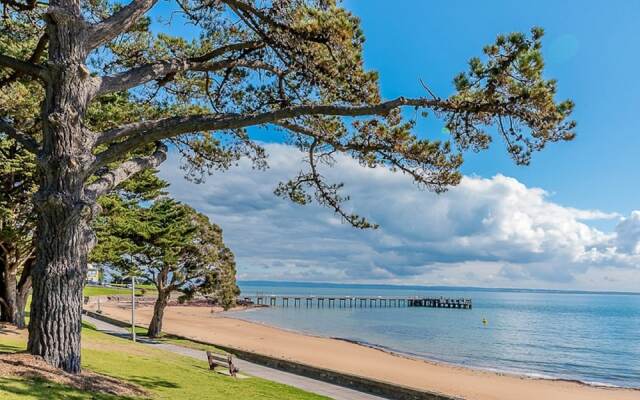 CScape Cowes