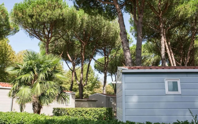 Camping Village River