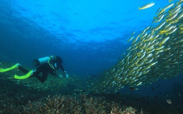 The Taaras Beach & Spa Resort