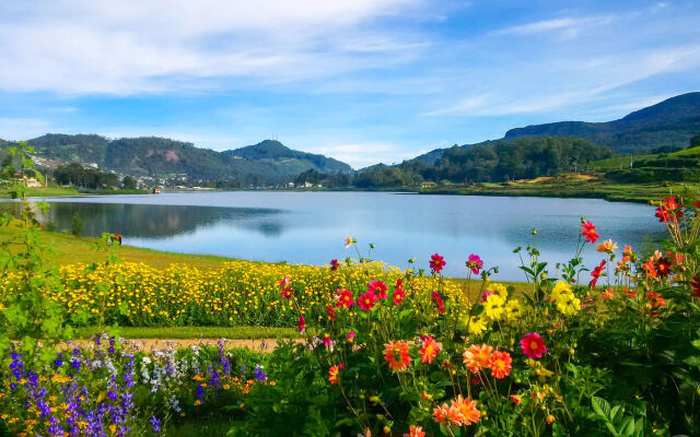 Villa Tea Fields