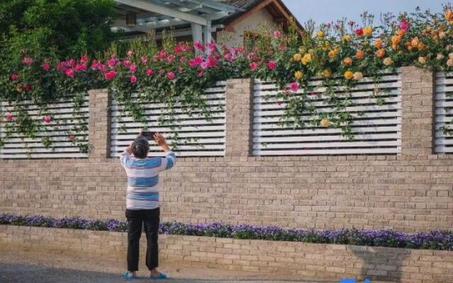 Songyang Nanshan Nanhuayuan Meisu