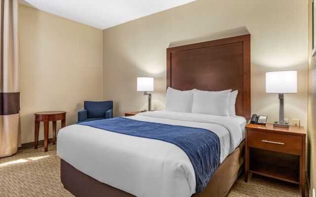 Comfort Inn Near Greenfield Village