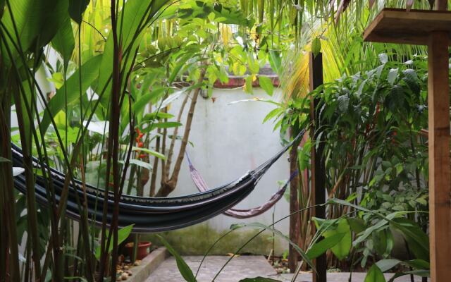 The Amazon Within Hostel