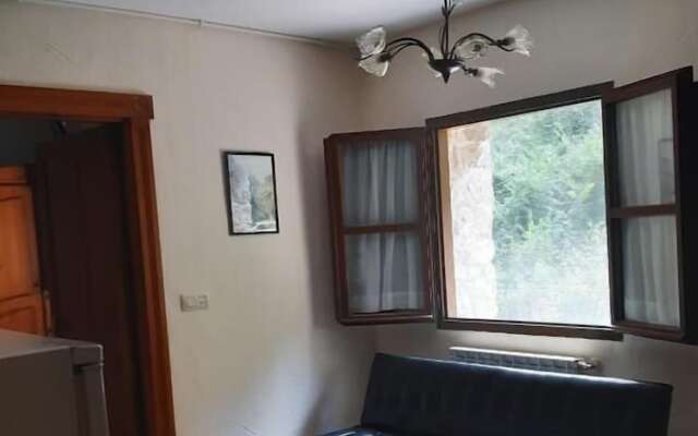 Apartamentos Aguasaliu