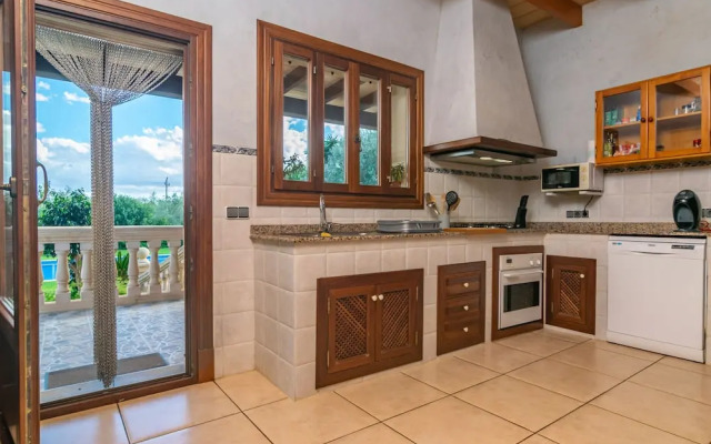 Can Berguins in Buger