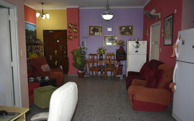 Prado 20