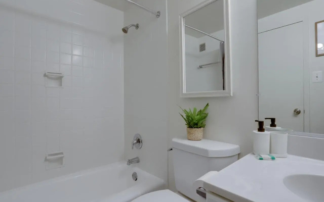 Modern Apartment At Crystal City