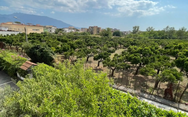 Vesuvius garden