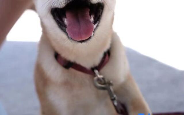 Xianhe Mountain Guesthouse