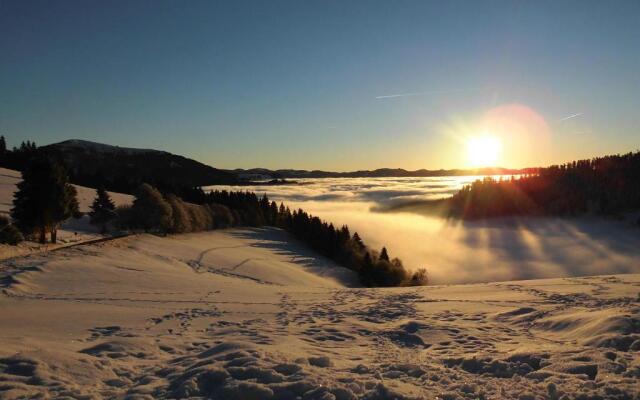 Steiert Panorama Apartments Todtnau