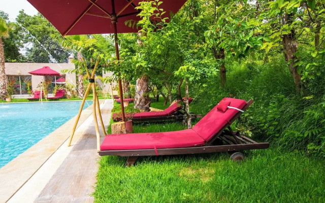 The Garden of Asni