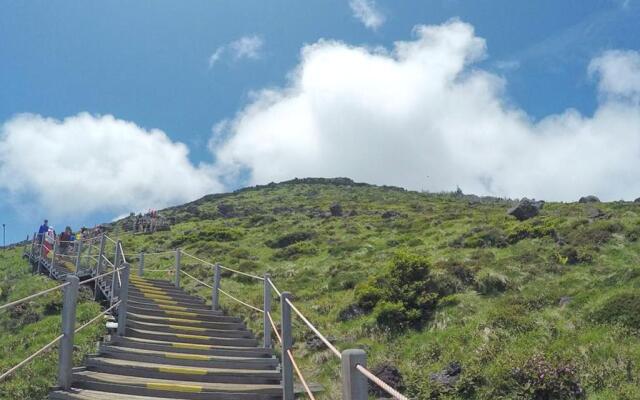 Jeju Alice in Urban Guest House