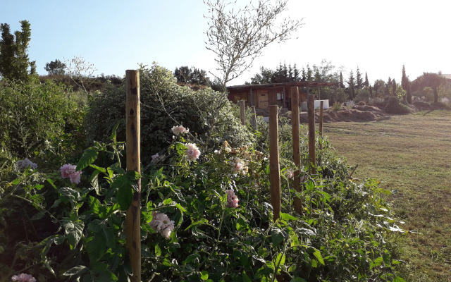 Cabanes Trésors De Campagne