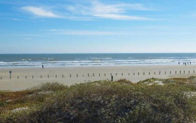 Coastal Nest 207BH
