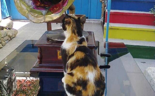 Sigacik Kaleici Pansiyon Nostalji Kafe