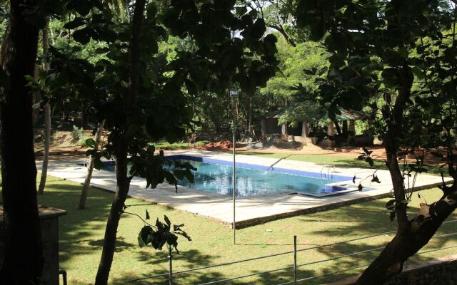Dambuluy Oya Family Park