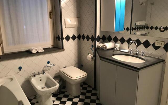 Gatto Bianco Bergamo 9