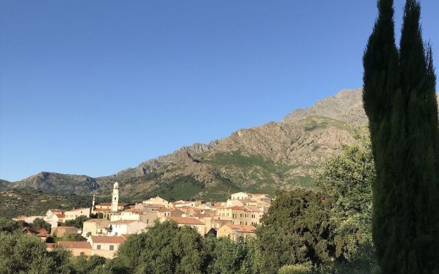 Au pied des oliviers