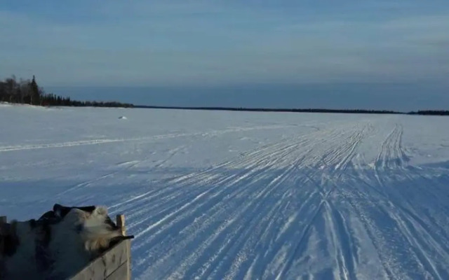 У Сейдозера