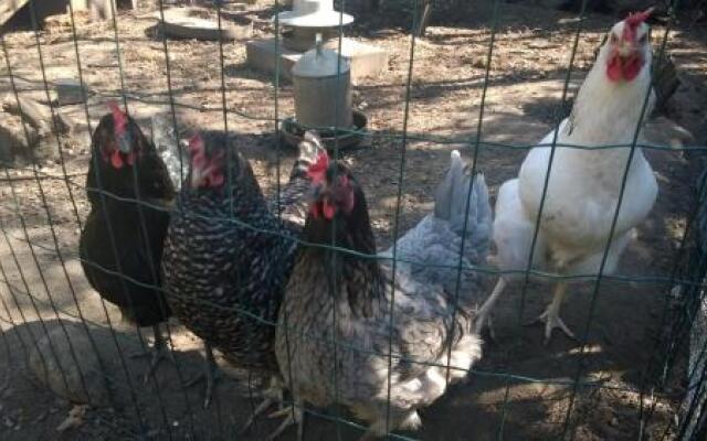 Tyto Alba Bed & Breakfast
