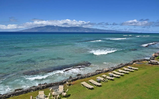 Kaleialoha 309
