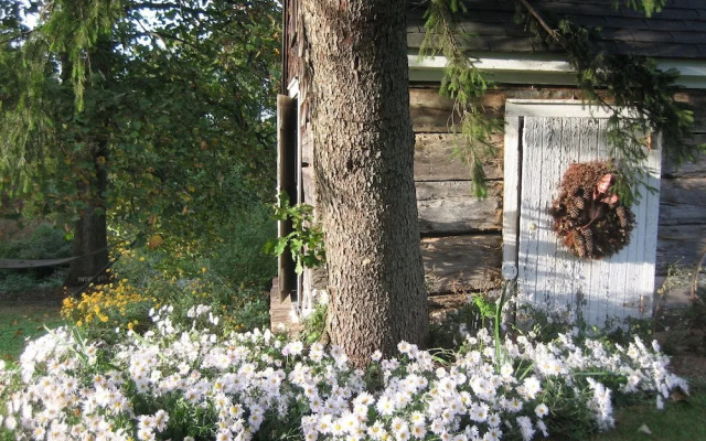 Inn at Mitchell House