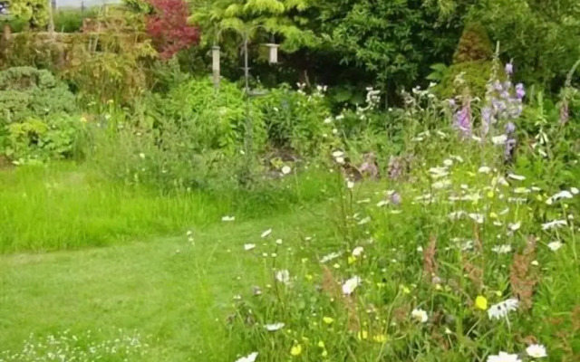 Thorpe Green House Vegetarian Bed and Breakfast
