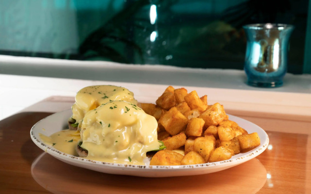 Dolphin Sands Clearwater Beach, an Ascend Collection Hotel