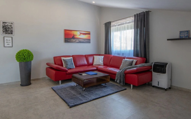 Laurus Tuli Evica in Tuli Evica