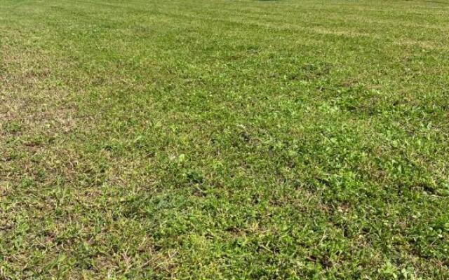 camera con giardino e piscina