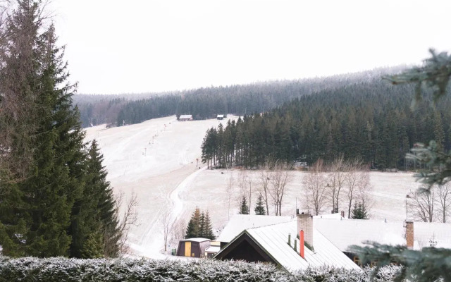 Luxury apartment Trio Harrachov A.2