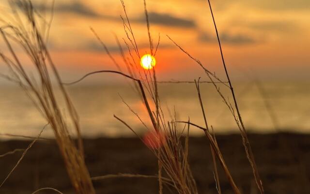 Illinois Beach Hotel