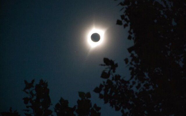 Wild Rose Manor Bed and Breakfast