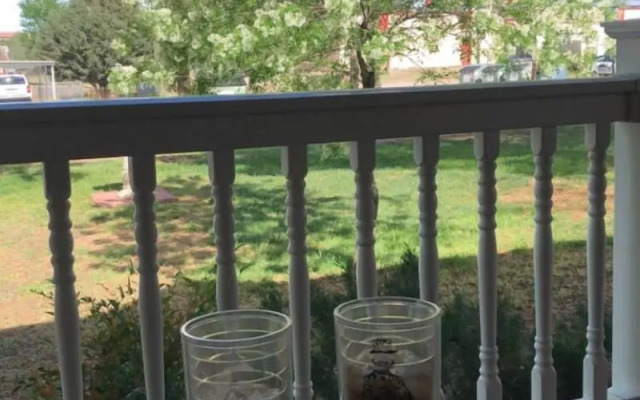 Alpine Bed and Breakfast