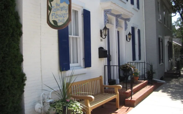 Tawsty Flower - Haines Suites