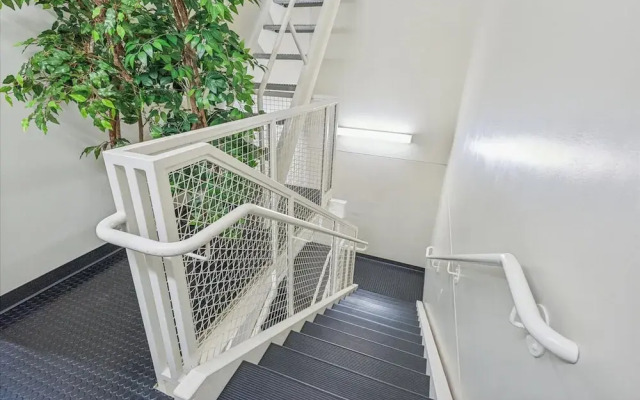 Hazelnut Suite - 204