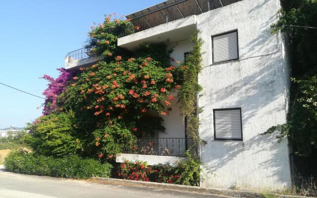 House near the sea