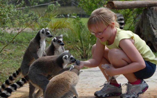 Holiday Inn Express & Suites Lakeland South by IHG