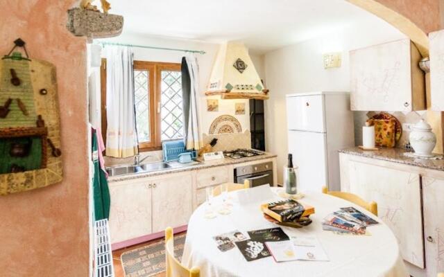 Tre Delfini - Stelle Marine