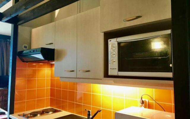 Appartement Villard-de-Lans, 1 pièce, 4 personnes - FR-1-515-106