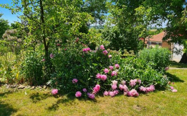 Rózsa Apartman Aggtelek