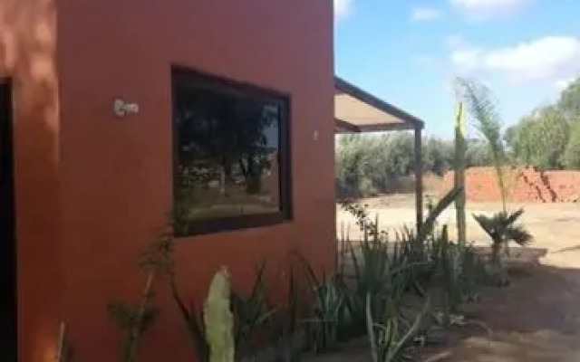 Wine Country Valle de Guadalupe