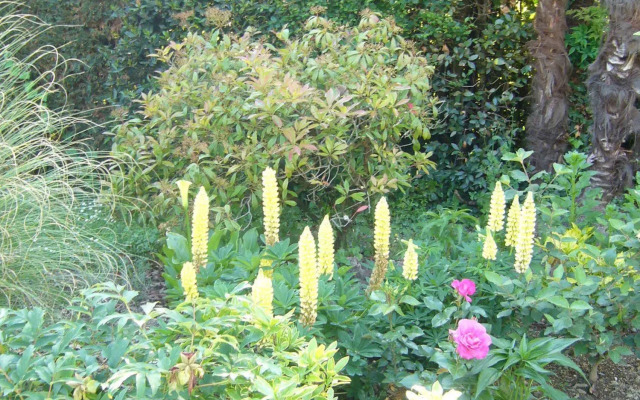 Chambres d'hôtes Le Mas