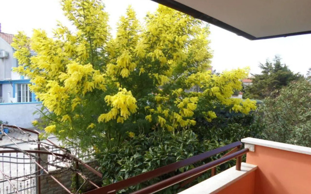 Apartments villa MaVeRo